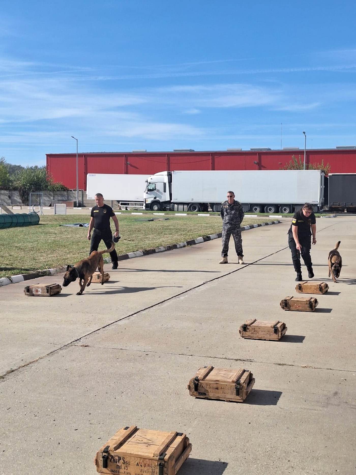 Şapte echipe canine ucrainene s-au pregătit în România